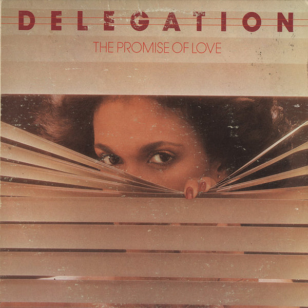 The Promise of Love - song and lyrics by Delegation | Spotify