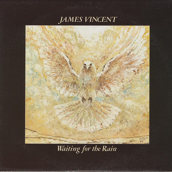 James Vincent / Waiting For The Rain