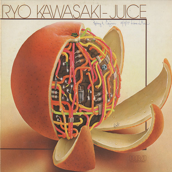 川崎燎 (Ryo Kawasaki) / Juice