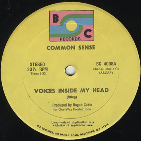 Common Sense / Voices Inside My Head