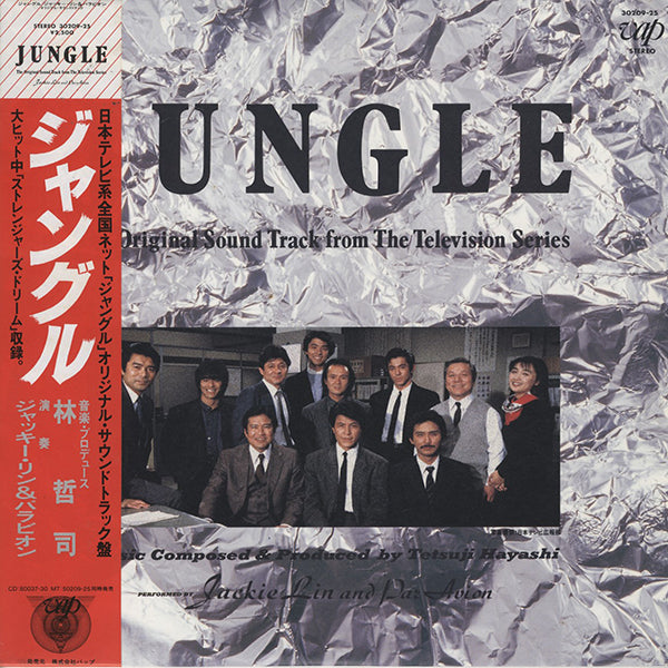 JAPANESE – Page 2 – RECORD SHOP rare groove