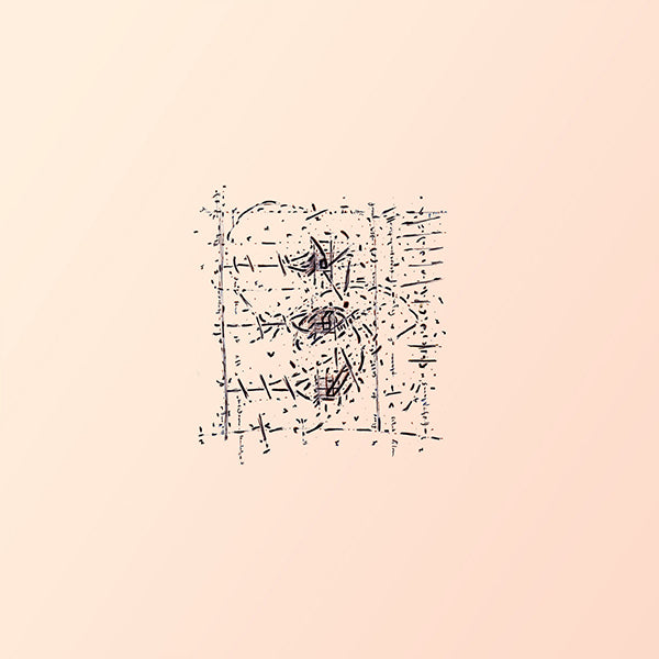 Lifted / Trellis