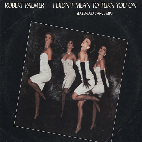Robert Palmer / I Didn't Mean To Turn You On (Extended Dance Mix)