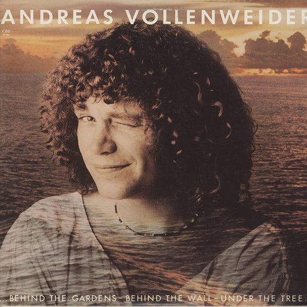 Andreas Vollenweider / ...Behind The Gardens - Behind The Wall - Under The Tree...
