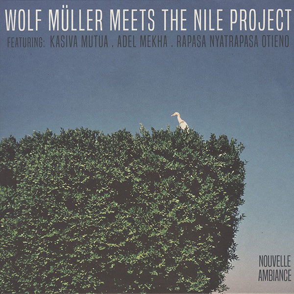 Wolf Müller Meets The Nile Project Featuring: Kasiva Mutua, Adel Mekha, Rapasa Nyatrapasa Otieno / Wolf Müller Meets The Nile Project