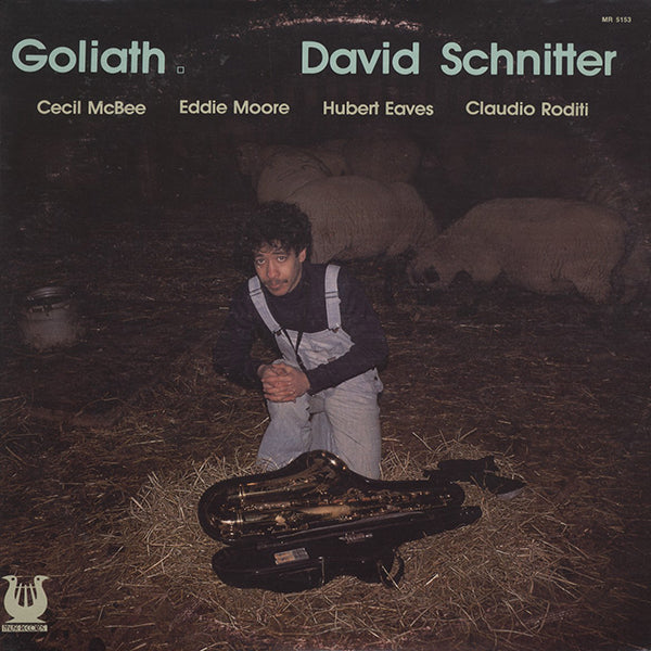David Schnitter / Goliath