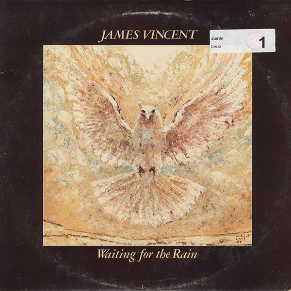 James Vincent / Waiting For The Rain