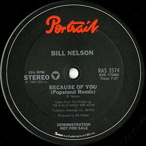 BILL NELSON / because of you