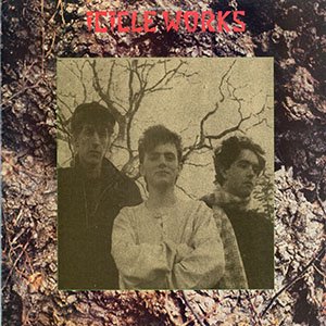 ICICLE WORKS / icicle works