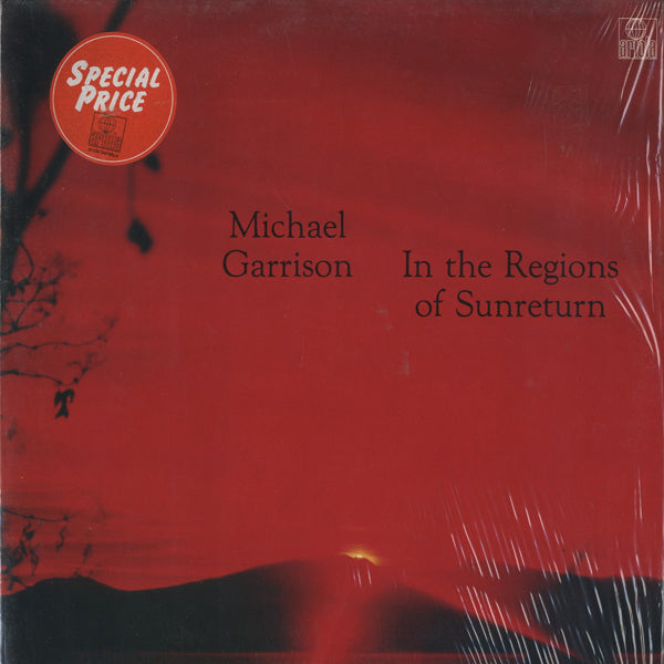 MICHAEL GARRISON / in the regions of sunreturn